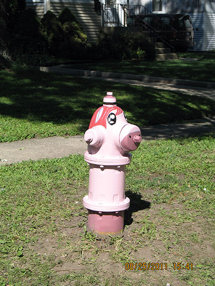 Pink Pony- Michigan and Kenilworth